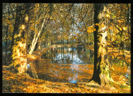 Viry Chatillon, Parc Leblanc (scan Recto-verso) VV 1616 - Viry-Châtillon