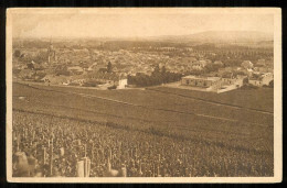 POMMERY Et GRENO Vignoble D'AY  édition Inconue VV 1635 - Ay En Champagne