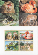 MK 54 Von UNO Genf 330-333 Gefährdete Arten Fauna 1998, Amtliche Maximumkarte - Altri & Non Classificati