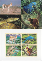 MK 60 Von UNO Genf 369-372 Gefährdete Arten Fauna 1999, Amtliche Maximumkarte - Otros & Sin Clasificación