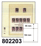 LINDNER-T-Blanko - Einzelblatt 802 203 - Fogli Bianchi