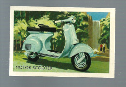 T673 - IMAGE SHELL - SCOOTER VESPA - Moto