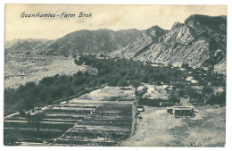 NAM 6 - 23804 GOANIKONTES, Farm, D.S.W. Afrika, Namibia - Old Postcard - Unused - Namibië