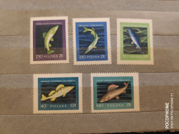 1958	Poland	Fishes (F88) - Unused Stamps