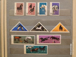 1963	Poland	Horses (F88) - Unused Stamps