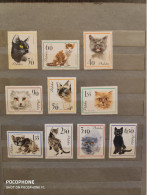 1964	Poland	Cats (F88) - Unused Stamps