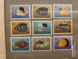 1967	Poland	Fishes (F88) - Unused Stamps