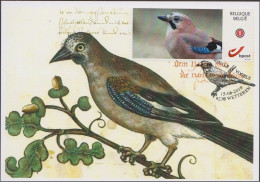 DUOSTAMP/MYSTAMP° - SPAB -  Geai Des Chênes / Eiken Gaai / Eichenhäher / Oak Jay - BUZIN - Storia Postale