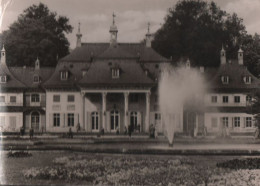 56274 - Dresden-Pillnitz - Schloss - 1963 - Pillnitz