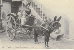 COPIE DE CARTE POSTALE ANCIENNE VICHY LAITIERE BOURBONNAISE - Vendedores Ambulantes