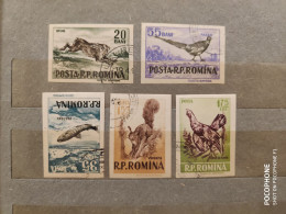 1956	Romania	Animals (F88) - Gebruikt