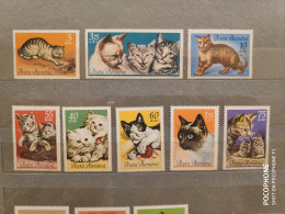 1965	Romania	Cats (F88) - Unused Stamps