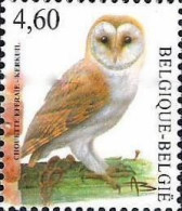 Belgium Belgique Belgien 2010 Barn Owl Tyto Alba Stamp MNH - Gufi E Civette