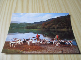 Coniston Foxhounds At Rydal Water (Royaume-Uni). - Autres & Non Classés