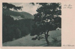 18746 - Altenau - Harz - Das Haus Am Berge - Ca. 1955 - Altenau