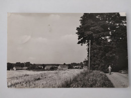 Menz, Kr. Gransee, Blick Auf Den Ort, 1966 - Gransee