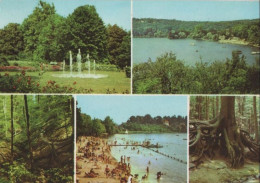 74404 - Buckow - U.a. Blick Auf Schermützelsee - 1970 - Buckow