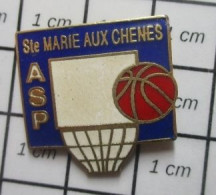 713A Pin's Pins / Beau Et Rare / SPORTS / CLUB BASKET STE MARIE AUX CHENES Salut Vieille Branche ! - Baloncesto