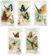 CHROMOS CHOCOLATERIE D' AIGUEBELLE -  Lot De 5 Chromos - Le Monde Des Insectes Papillons - VOIR SCANS - Aiguebelle