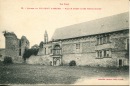 CPA -  ASSIER -  RUINES DU CHATEAU - FACADE OUEST  (IMPECCABLE) - Assier