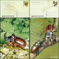 Dictature De Belarus 2001. 2 Entiers Postaux, Cartes Coléoptères. Tirages 3000. Coléoptère Du Cerf, Rhinocéros - Coleotteri