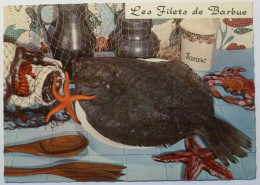 POISSON / FILET DE BARBUE- RECETTE CUISINE - Pot De Farine / Etoile De Mer - Fish & Shellfish