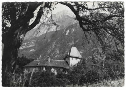 St Pierre De Rumilly - 1952 - Le Château D'Arcine - La Pointe D'Andey  # 2-24/18 - Rumilly