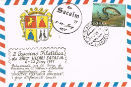 54615. Tarjeta SAN HILARIO SACALM (Gerona) 1977. Fechador A.P. Agencia Postal, Expo Filatelica - Cartas & Documentos