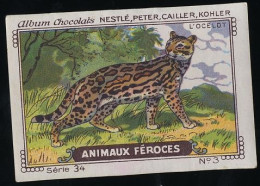 Nestlé - 34 - Animaux Féroces, Fierce Animals - 3 - L'Ocelot - Nestlé
