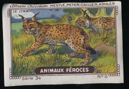 Nestlé - 34 - Animaux Féroces, Fierce Animals - 6 - Lynx - Nestlé