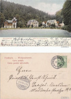 Ansichtskarte Pillnitz Partie Am Friedrichsgrund 1904 - Pillnitz