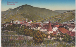 France - Ribeauvillé Rappoltsweiler - General View Gesamtansicht Panorama - Wine Cultures De Vigne Vine Crops - Alsace