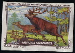 Nestlé - 35 - Animaux Sauvages, Wild Animals - 8 - Cerf, Deer - Nestlé