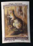 Nestlé - 36 - Animaux à Fourrures, Fur Animals - 12 - Putois, Polecat - Nestlé