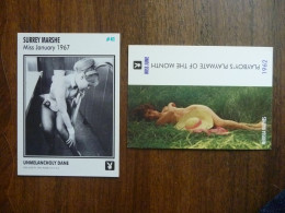 Lot De 2 CARTE PIN UP PLAYBOY 1962 Et 1967 Erotisme Erotique - Pin-Ups