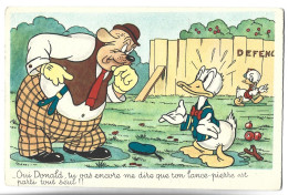 WALT DISNEY - DONALD - Altri & Non Classificati