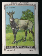 Nestlé - 38 - Les Antilopes, Antelopes - 6 - Le Nilgant, L'Antilope Nilgaut, Nilgai Or Blue Bull - Nestlé