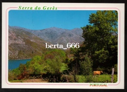 Paisagem Da Serra Do Gerês - Braga