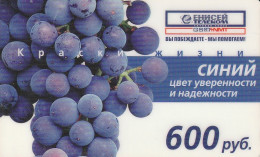 PREPAID PHONE CARD RUSSIA  (CZ401 - Russia