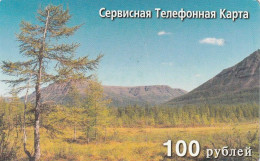 PREPAID PHONE CARD RUSSIA Sibirtelecom - Norilsk, Krasnoyarsk Region CTK (CZ364 - Rusia