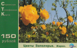 PREPAID PHONE CARD RUSSIA Sibirtelecom - Norilsk, Krasnoyarsk Region CTK (CZ309 - Russie