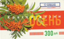 PREPAID PHONE CARD RUSSIA  (CZ294 - Russie