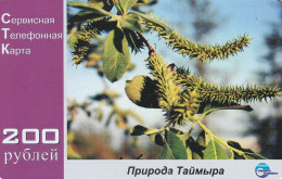 PREPAID PHONE CARD RUSSIA Sibirtelecom - Norilsk, Krasnoyarsk Region CTK (CZ251 - Russland
