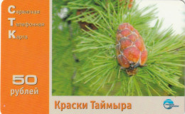 PREPAID PHONE CARD RUSSIA Sibirtelecom - Norilsk, Krasnoyarsk Region CTK (CZ236 - Rusia