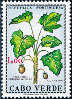 Cabo Verde - 1968 - Produce Of Cape Verde / Purgueira -  Physic Nut  - MNH - Cape Verde
