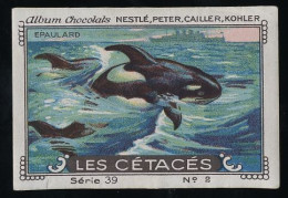 Nestlé - 39 - Les Cétacés, Cetacea - 2 - Epaulard, Orque, Orca - Nestlé