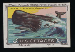 Nestlé - 39 - Les Cétacés, Cetacea - 3 - Cachalot Macrocéphale, Sperm Whale - Nestlé