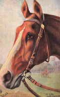 Cheval Chevaux Horse Horses * CPA Illustrateur Oilette Raphael Tuck & Fils Série 811 P * Race - Paarden