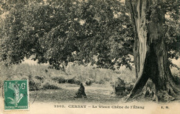 CPA - CERNAY - LE VIEUX CHENE DE L'ETANG (IMPECCABLE) - Cernay-la-Ville