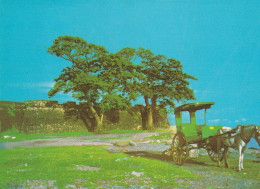 1 AK Philippinen * Fort Pilar - Eine Verteidigungsfestung Aus Dem 17. Jh. In Zamboanga City Auf Der Insel Mindanao * - Philippinen